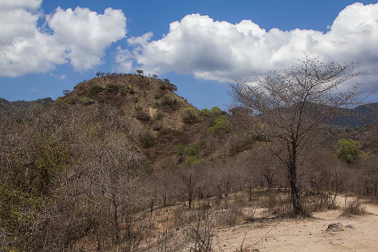 IMG 5825web